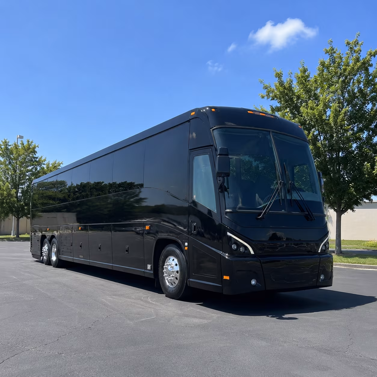 charlotte 56 passenger charter bus
