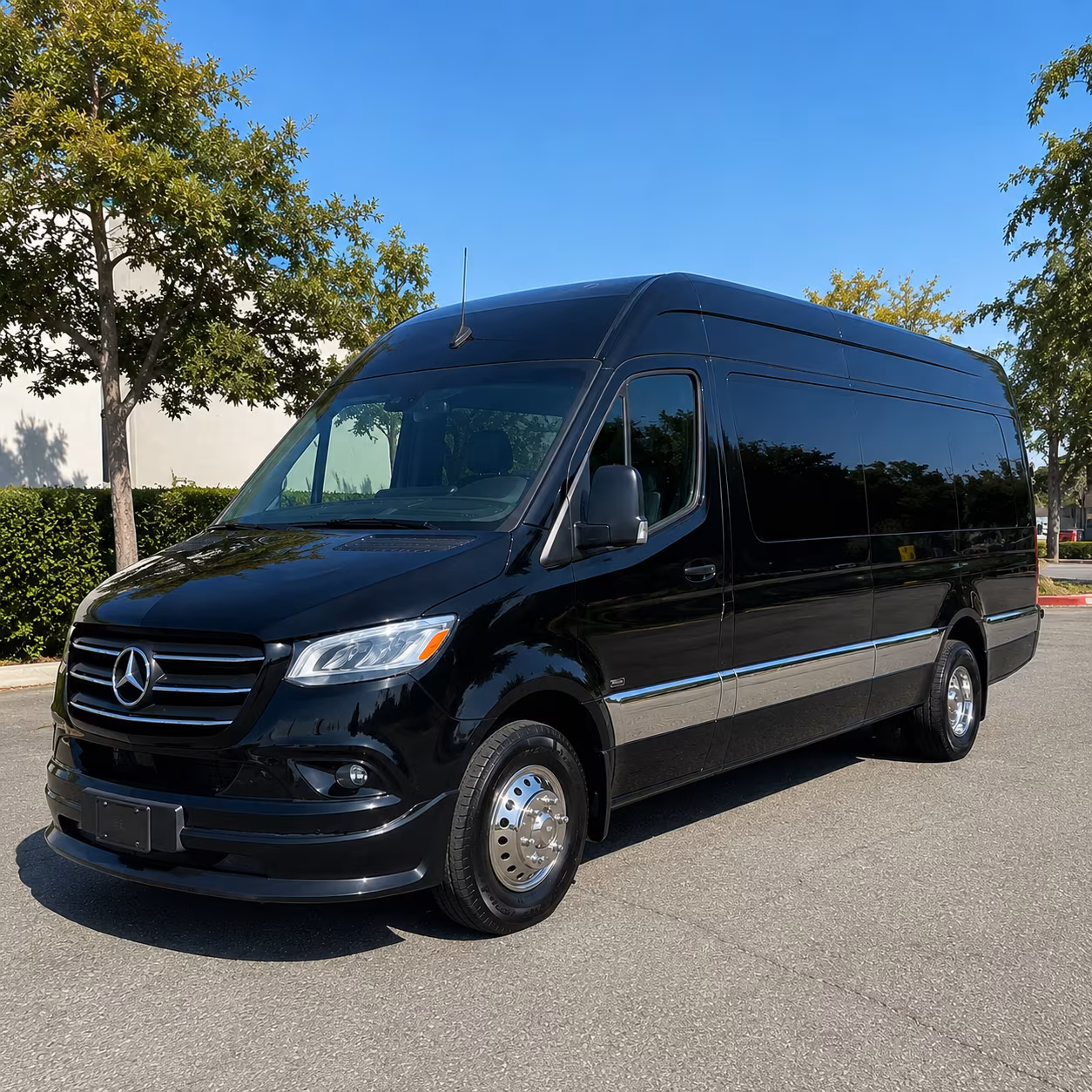charlotte sprinter van with driver